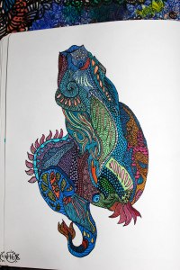 Ejemplo: Dibujo que hice evocando la imagen del pez mandarín.  Bitácora física. Gouache y rapidógrafo